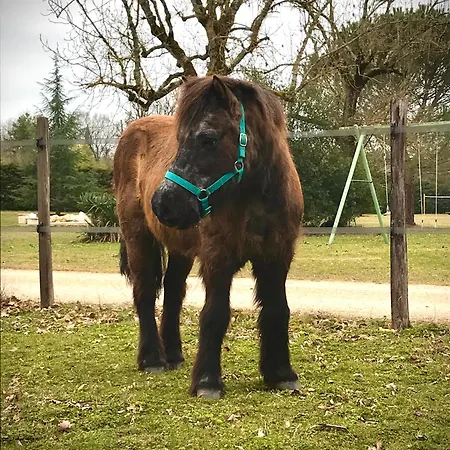 בית הארחה Ranch Du Roc