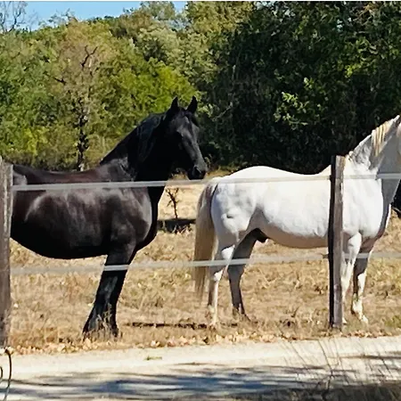 בית הארחה Ranch Du Roc Monteils (Tarn-et-Garonne)