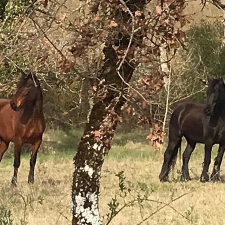 Ranch Du Roc בית הארחה 4*