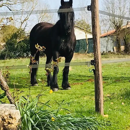 Ranch Du Roc Monteils (Tarn-et-Garonne)