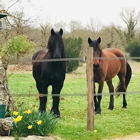 Ranch Du Roc Gasthuis